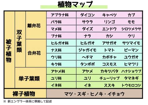 中性植物|中性植物（ちゅうせいしょくぶつ）とは？ 意味・読み方・使い。